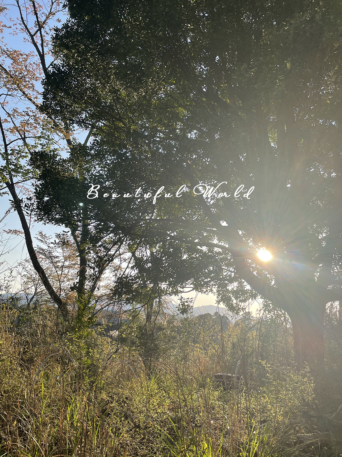 beautifulworld