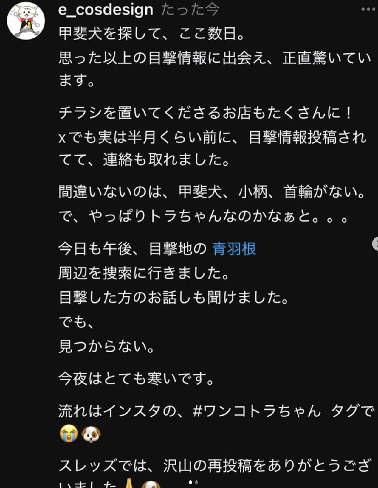 スクリーンショット 2025-01-28 19.08.26
