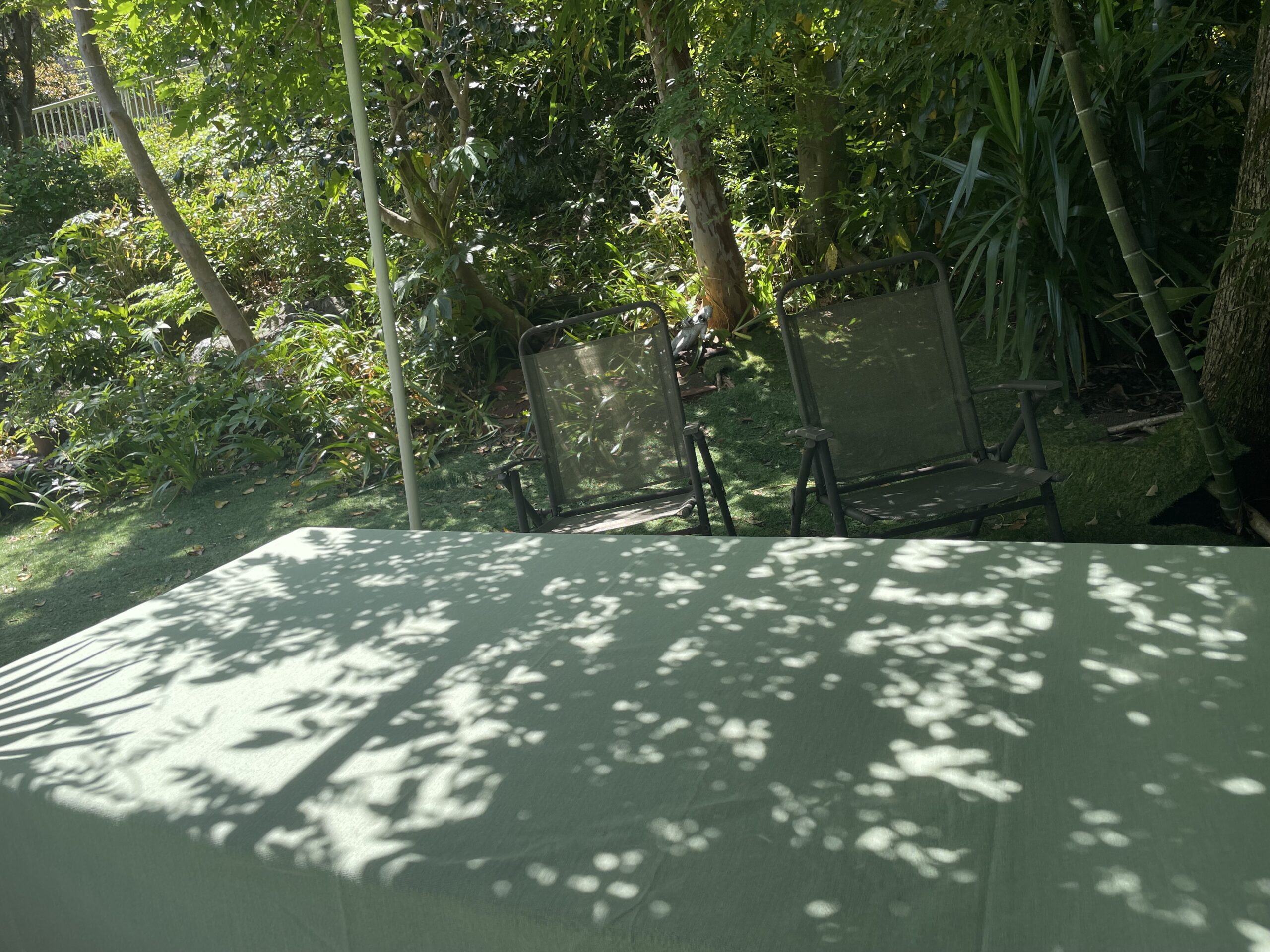 写真 2025-05-03 9 50 15