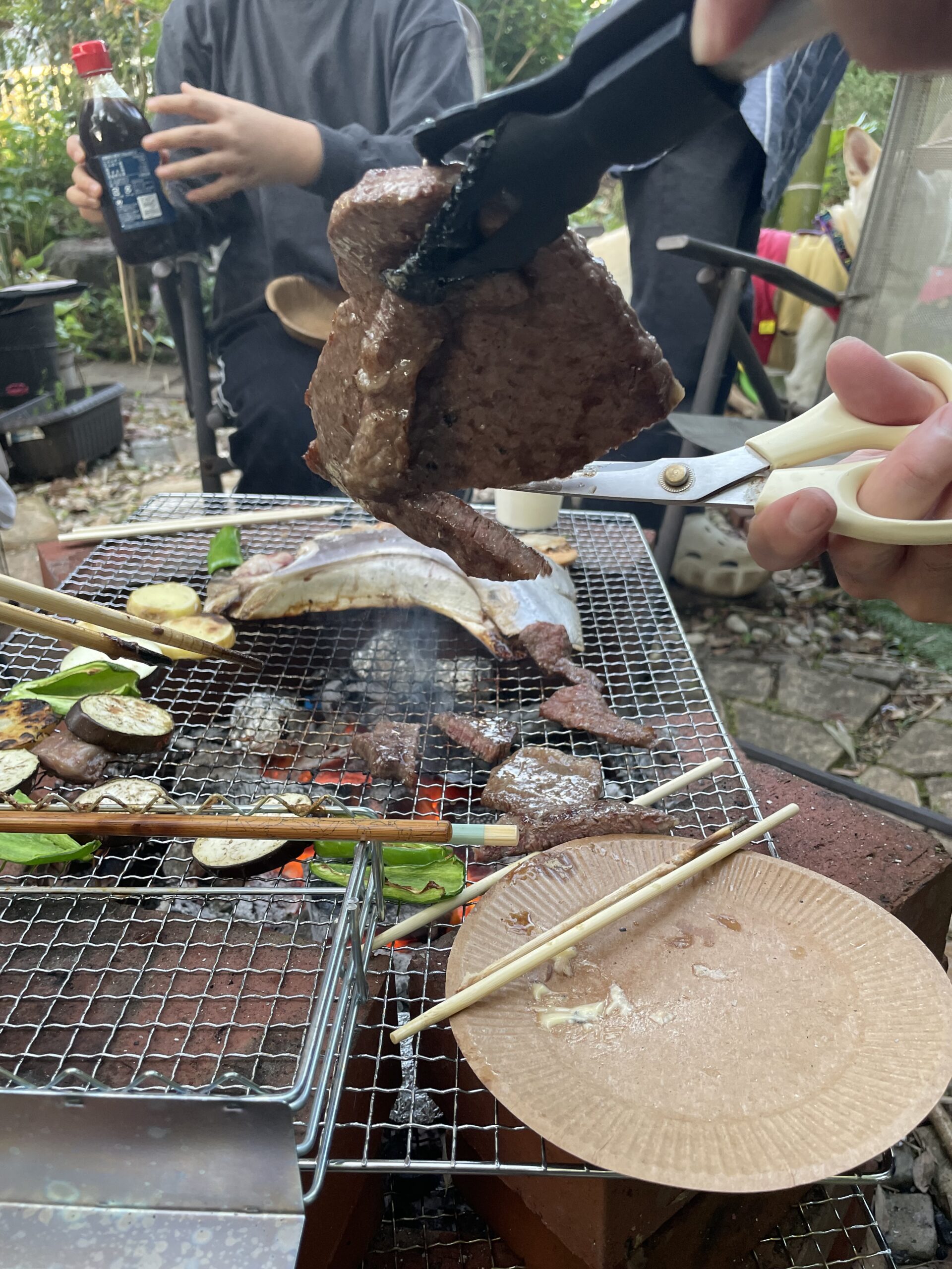 写真 2025-05-03 17 47 34 (1)