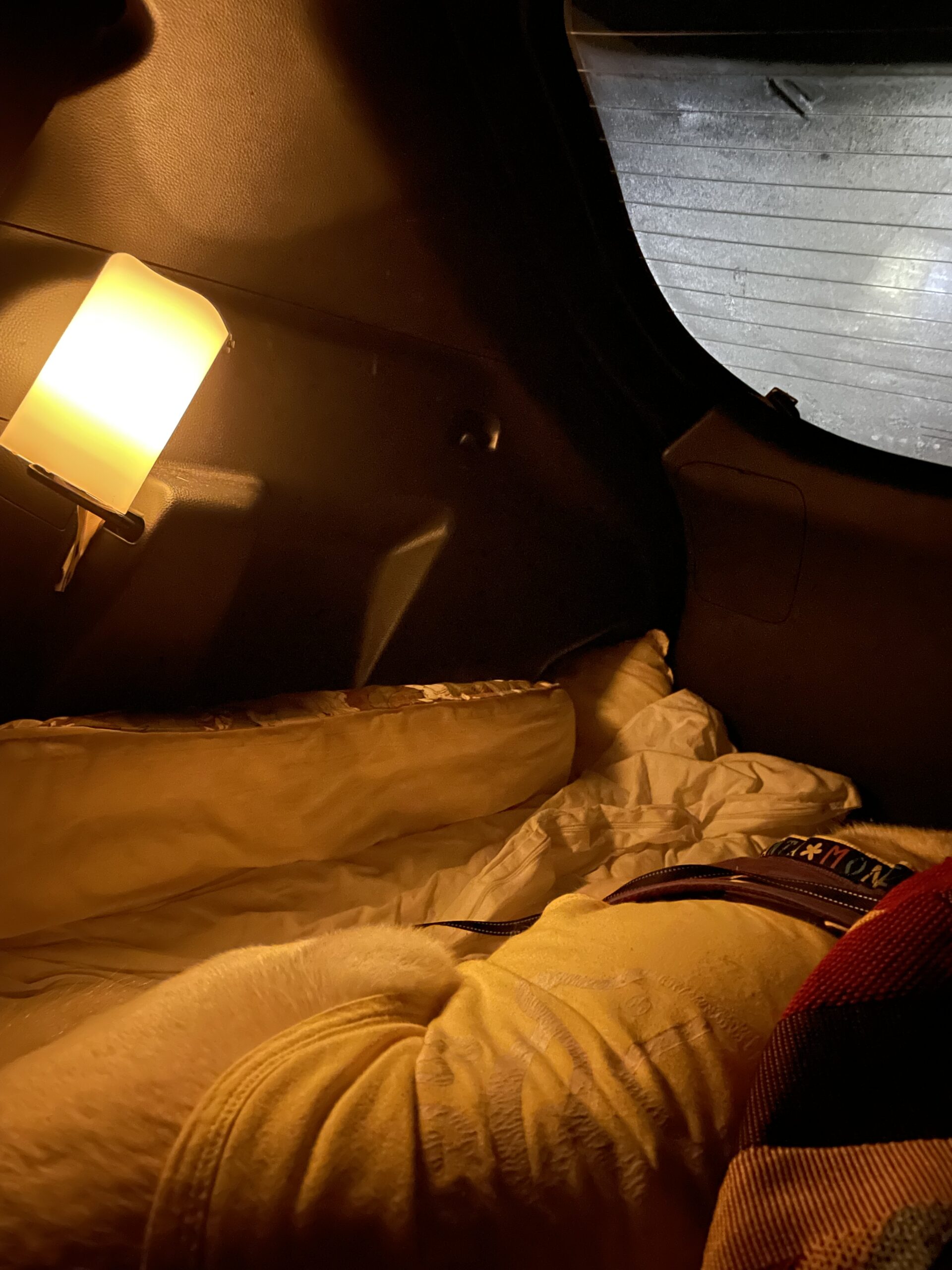 写真 2025-05-20 22 55 13