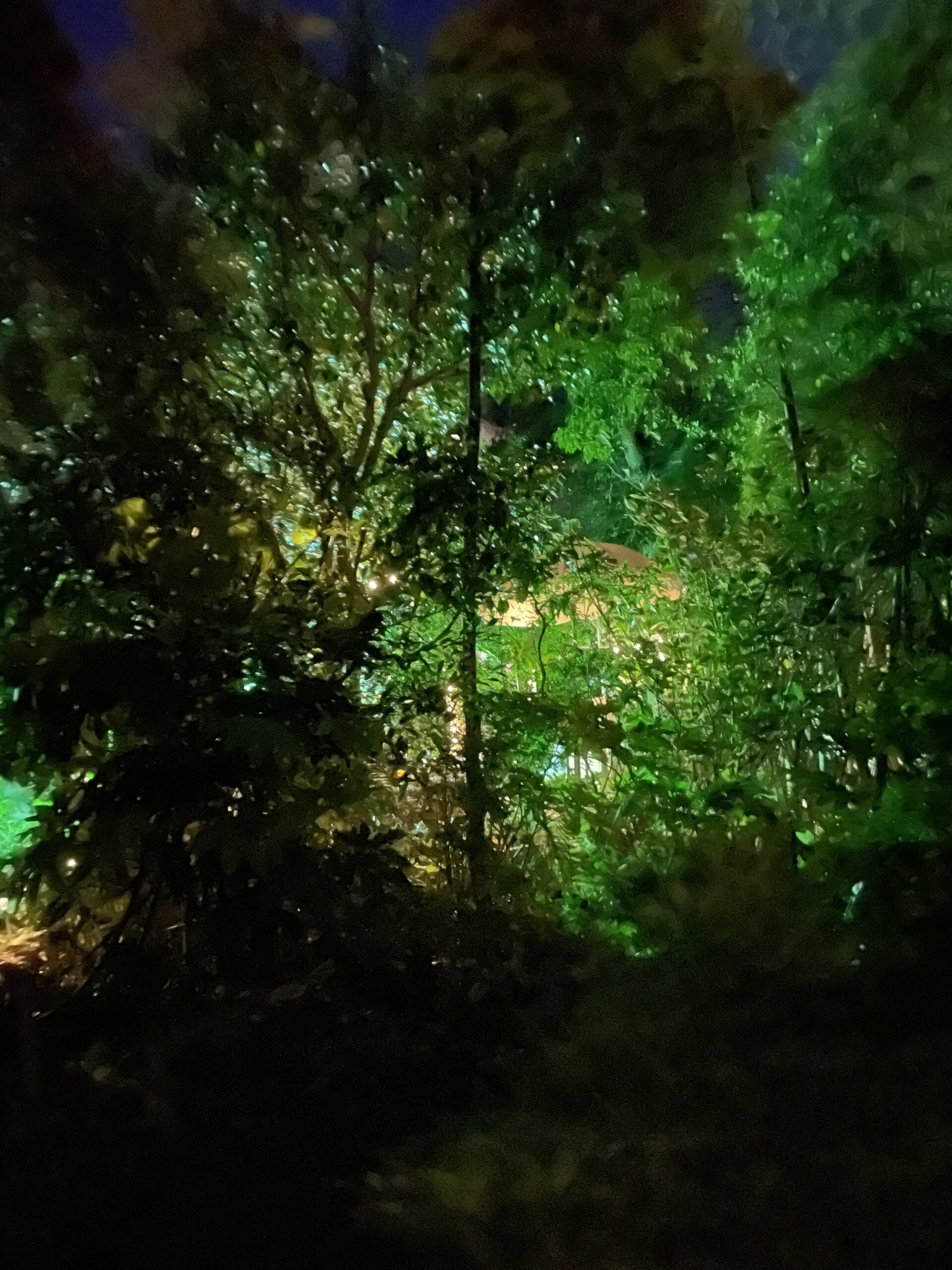 写真 2025-05-03 19 33 33